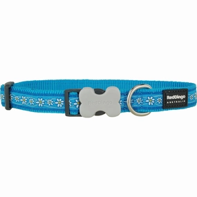 Daisy Chain Turquoise Dog Collar dog leash harness set dog leash clip rope dog leash retractable leash