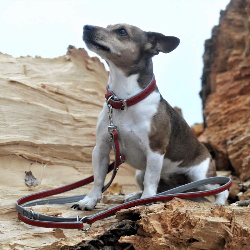 Das Lederband Firenze Leather Dog Collar (Carnelian/Stone)