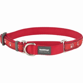 Desert Paws Red Martingale dog leash harness set dog leash clip rope dog leash retractable leash