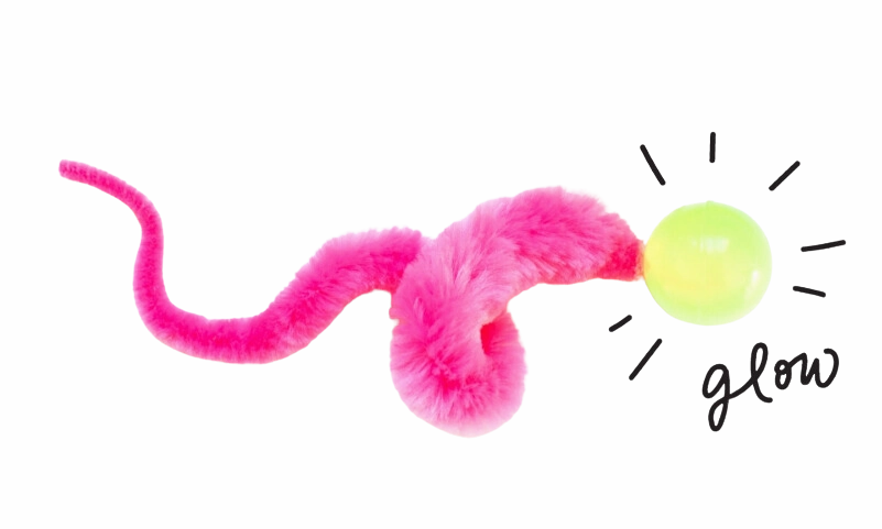 Dezi & Roo Wiggly Glow - Glow in the Dark Bouncy Ball Cat Toy cat toys interactive cat toys cat teaser wand cat balls cat laser pointer