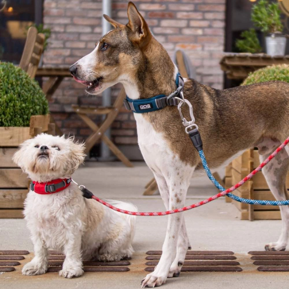 DOG Copenhagen Urban Explorer Dog Collar (Purple Passion)