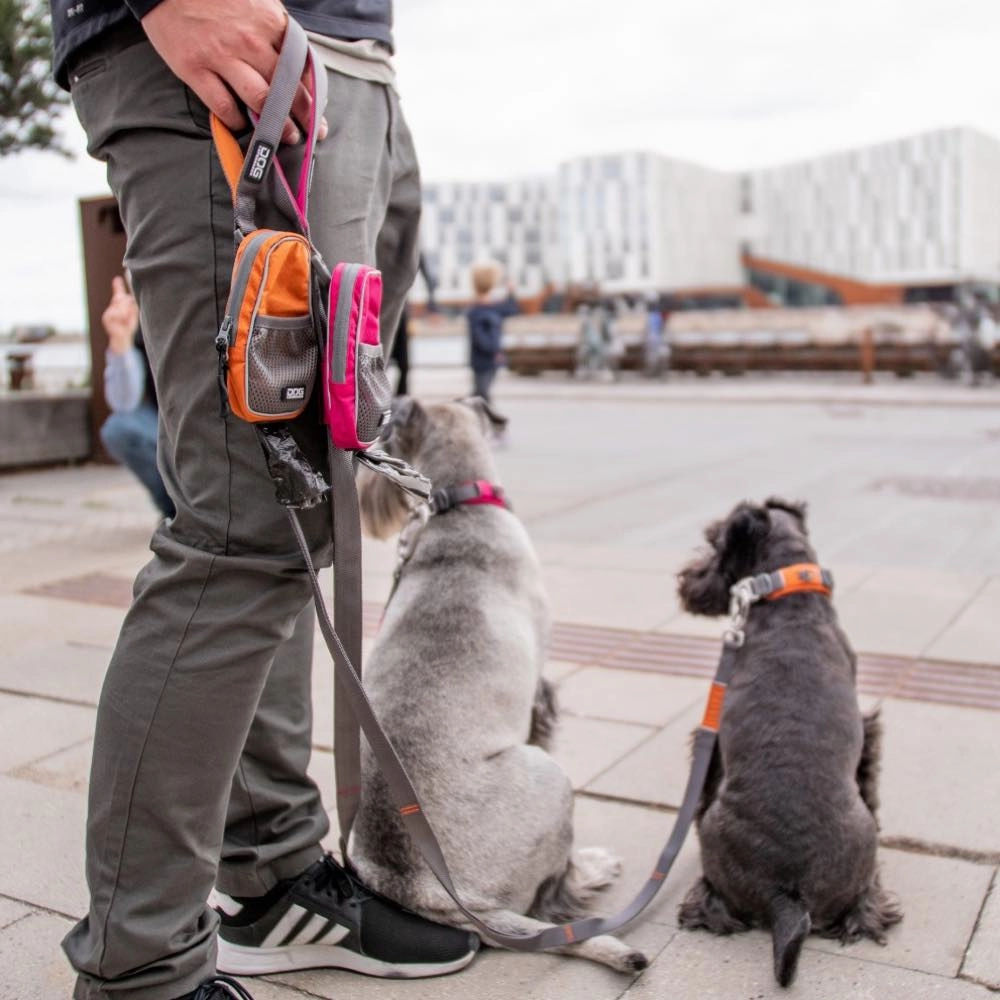 DOG Copenhagen Urban Trail Dog Leash (Orange Sun)