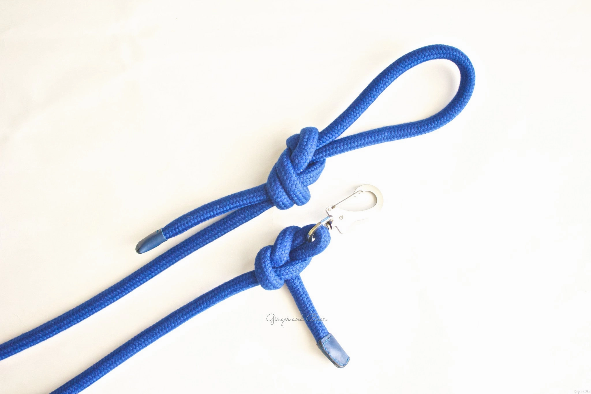 Dog Lead: Blue Rope