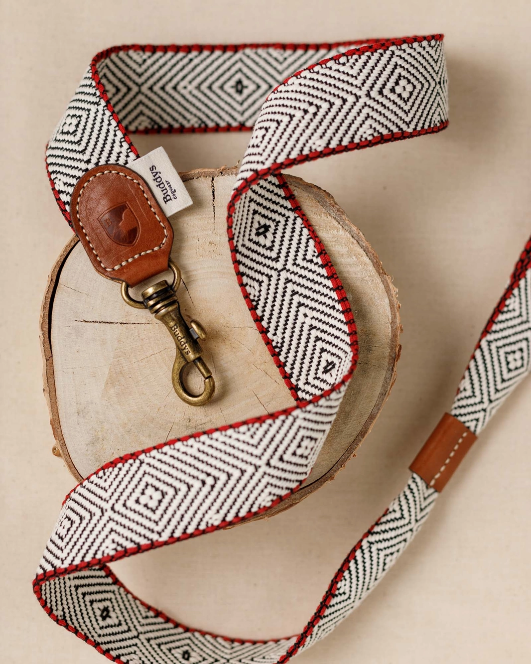 Dog Lead: Capri Beach Day