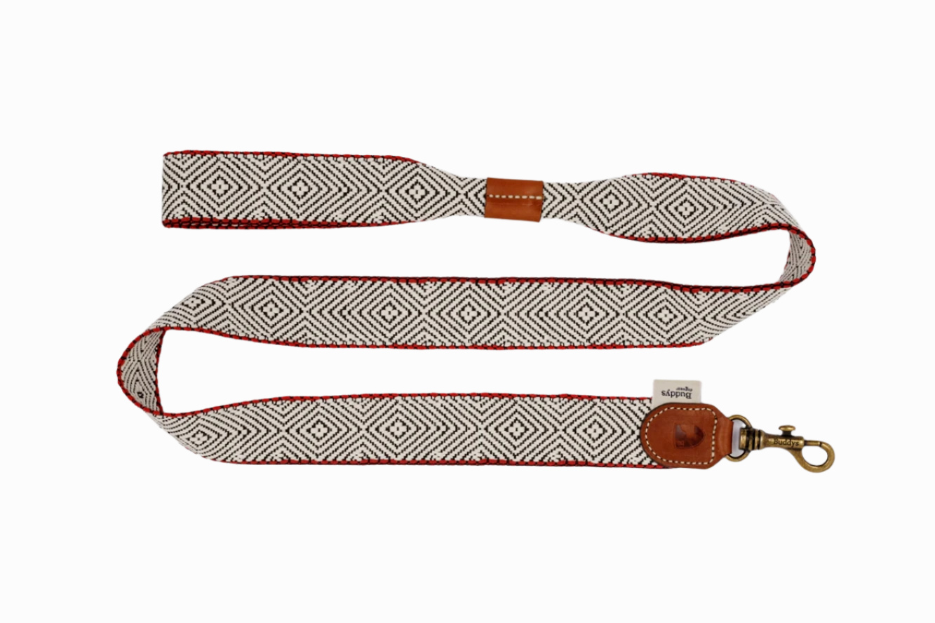 Dog Lead: Capri Beach Day