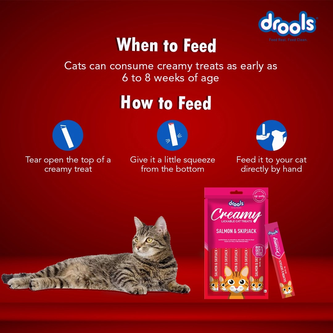 Drools Salmon & Skipjack and Crab & Chicken Creamy Cat Treats Combo