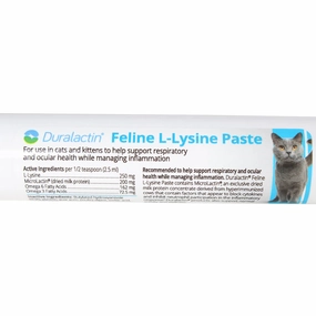 Duralactin Feline L-lysine, 32.5 ml Syringe dog plush squeaky toy interactive plush toy plush rope toy tough plush dog pillow toy