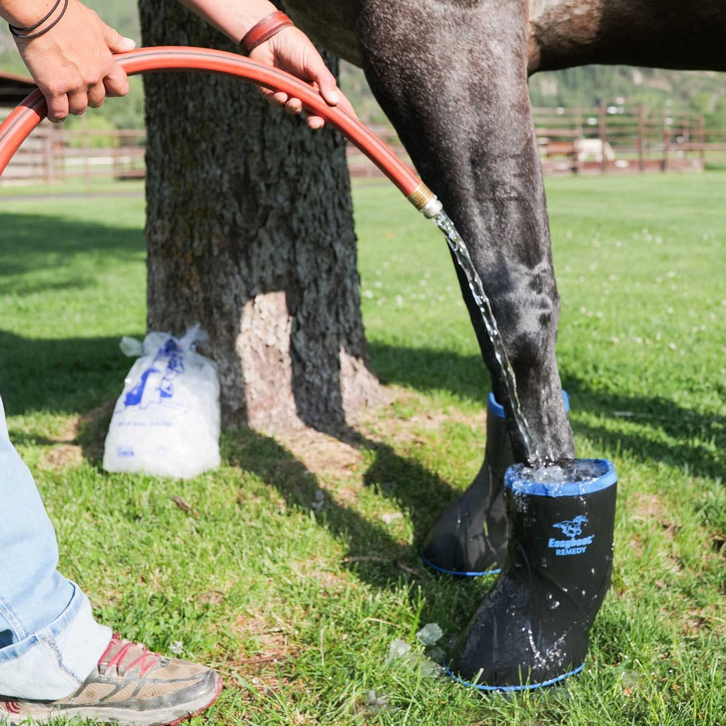 Easyboot Remedy Soaking & Therapy Boot for Horses