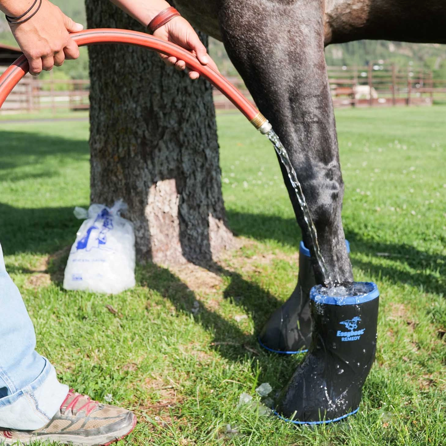 Easyboot Remedy Soaking & Therapy Boot for Horses