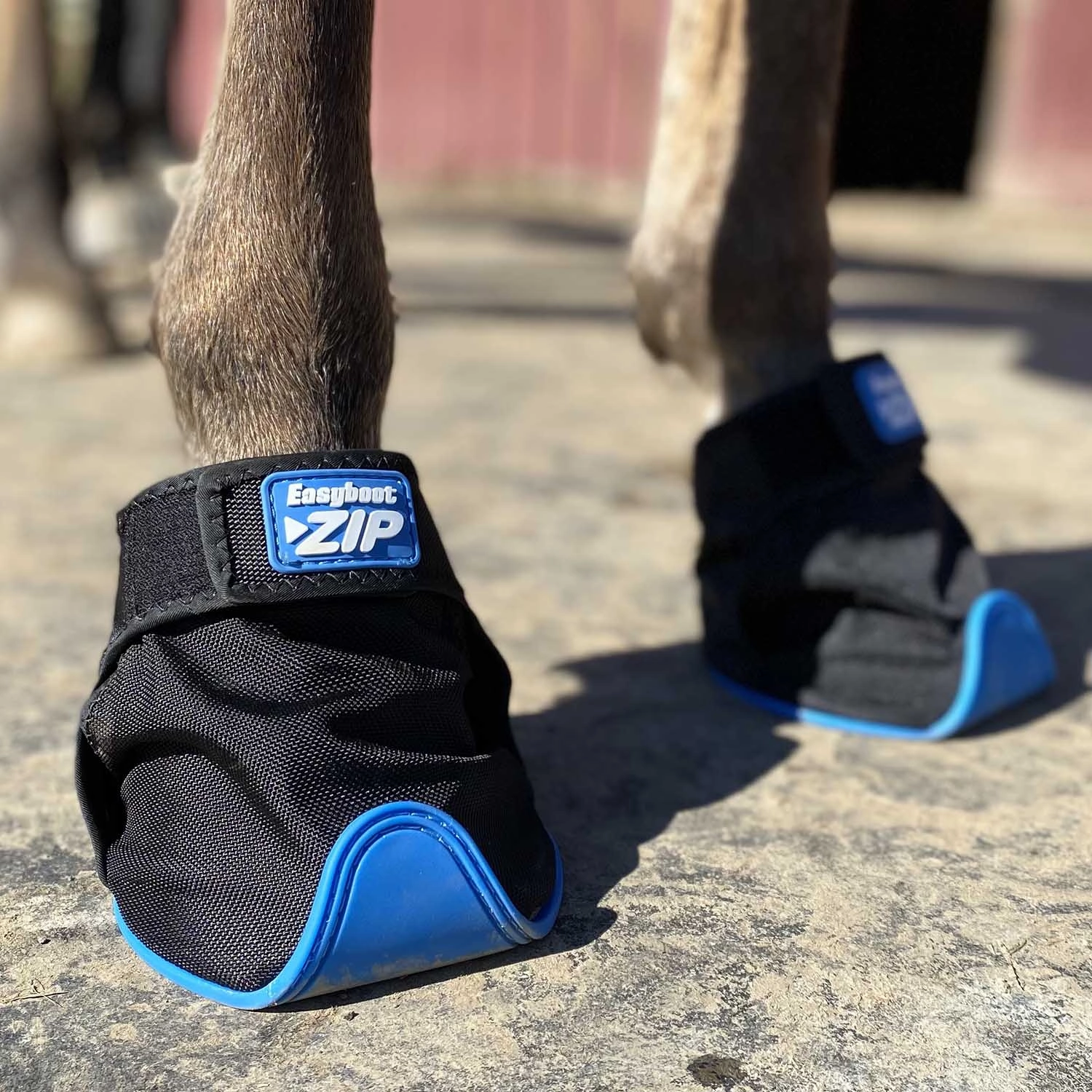 Easyboot ZiP Horse Hoof Boot