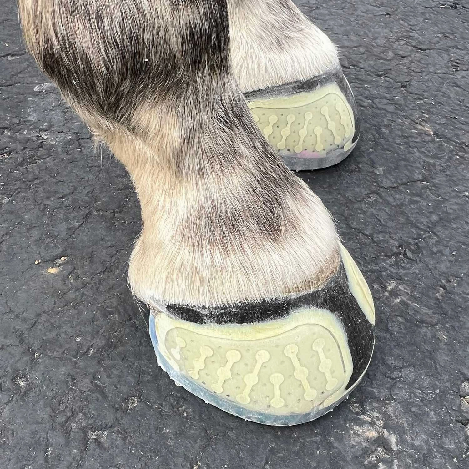 EasyShoe One Horse Boot, Pair