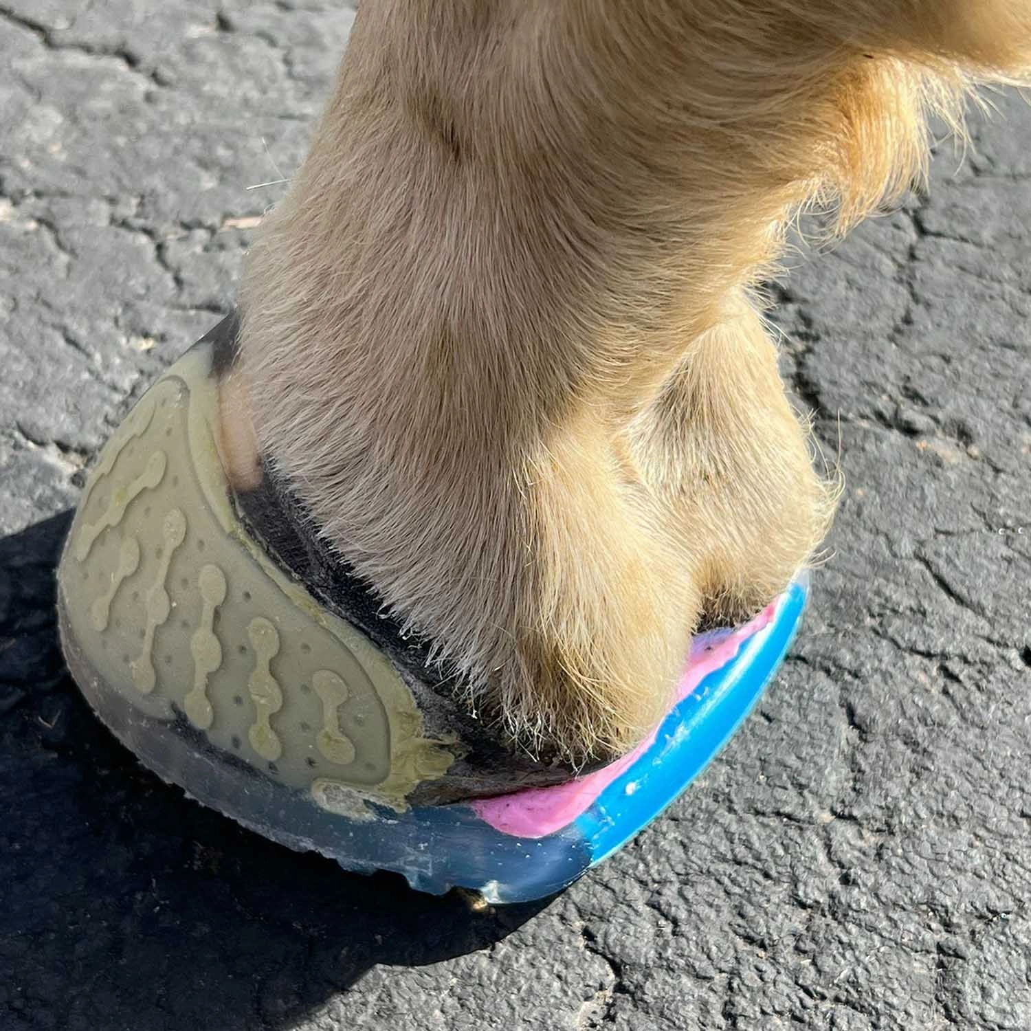 EasyShoe One Horse Boot, Pair