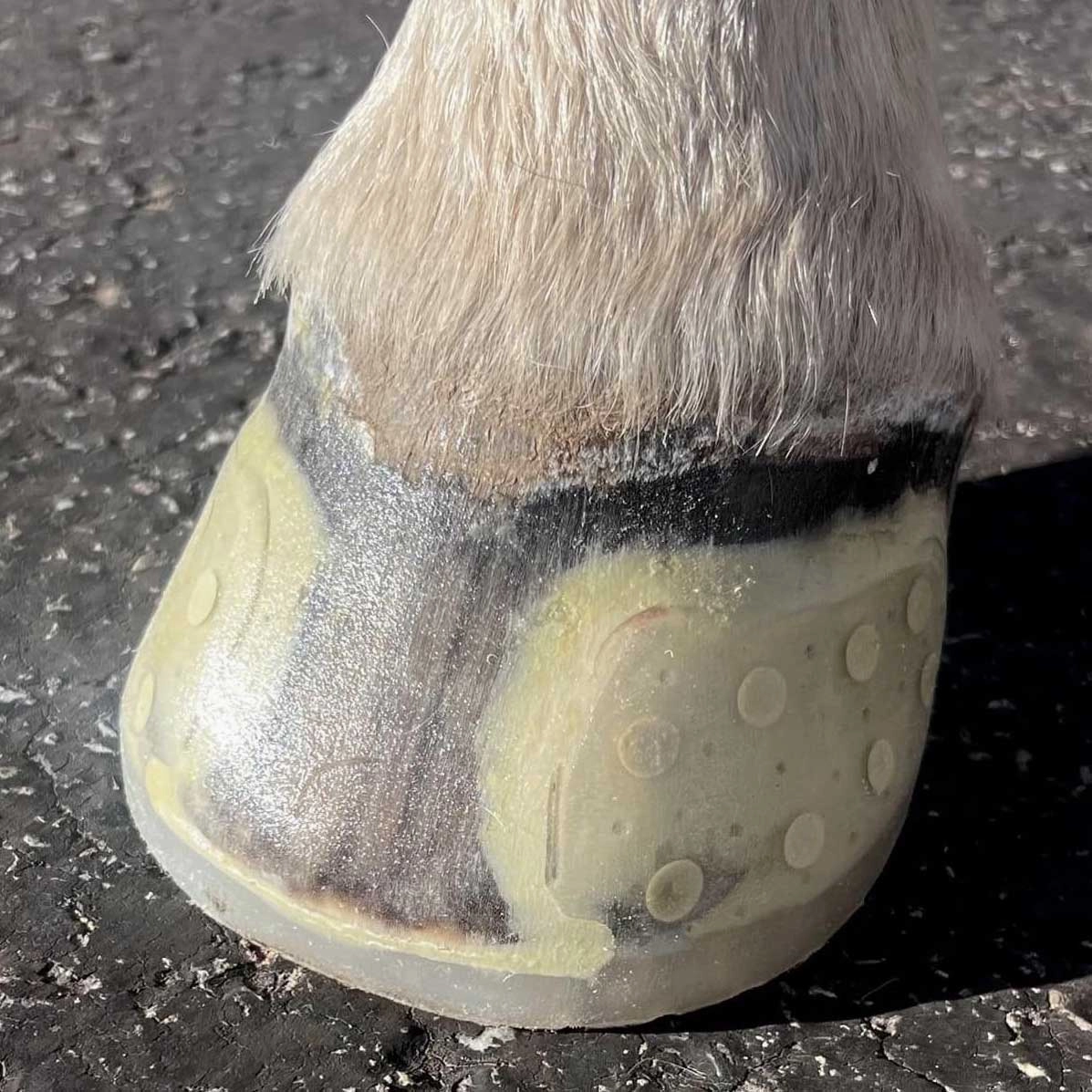 EasyShoe Speed Horse Boot, Pair
