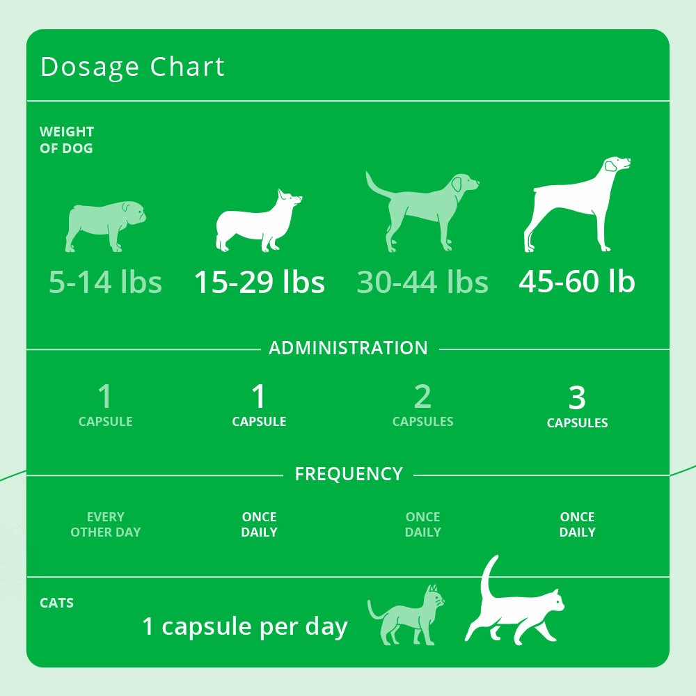 Eicosa3FF SnipCaps Omega 3 Capsules for Dogs & Cats