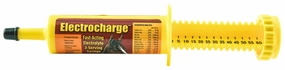 Electrocharge, 60 cc (2 dose) tuff dog toys durable toys for dogs chew tested toys hard chew toy strong plush