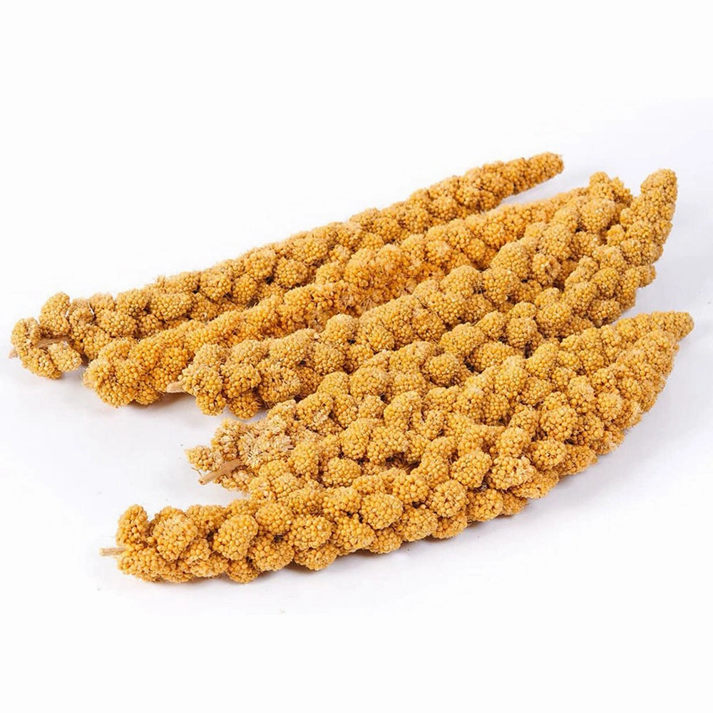 Emas 10 Gaiety Spray Millet 200g bird cage parrot food bird toys bird perch bird treats