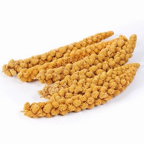 Emas 10 Gaiety Spray Millet 200g bird cage parrot food bird toys bird perch bird treats