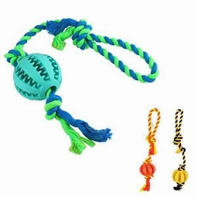 Dog play