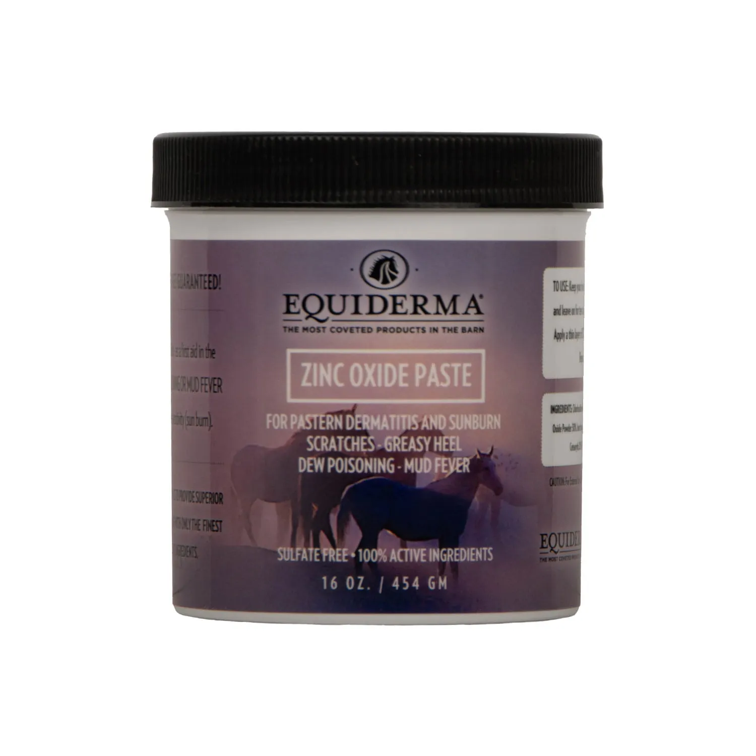 Equiderma Zinc Oxide Paste, 16 oz