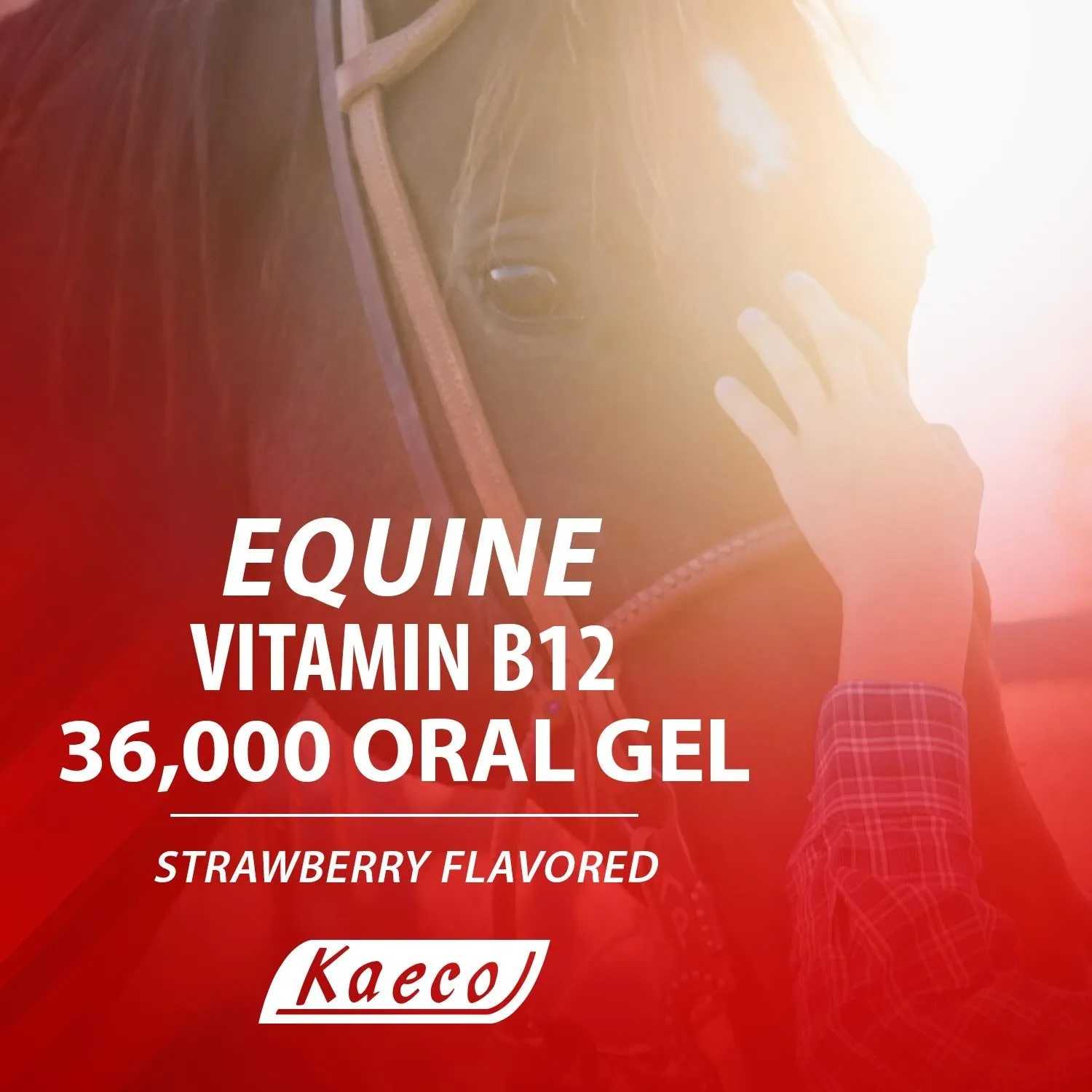 Equine Vitamin B12 Gel, 15 mL (3 Dose) Tube