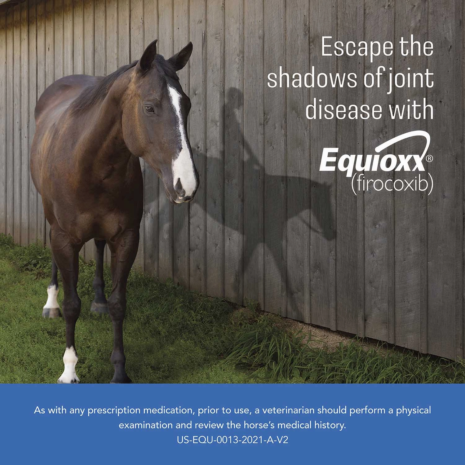 Equioxx (firocoxib) Tablets for Horses (57mg)