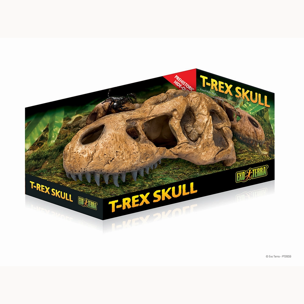 Exo Terra Trex Skull Hiding Cave dog water fountain slow feeder automatic dog feeder gravity feeder dog food dispenser