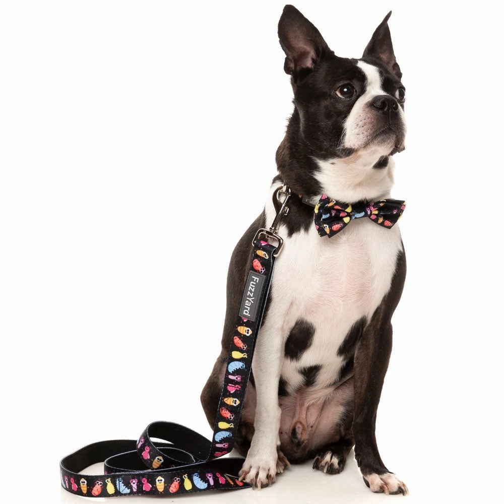 FuzzYard Dog Collar (Bed Bugs)