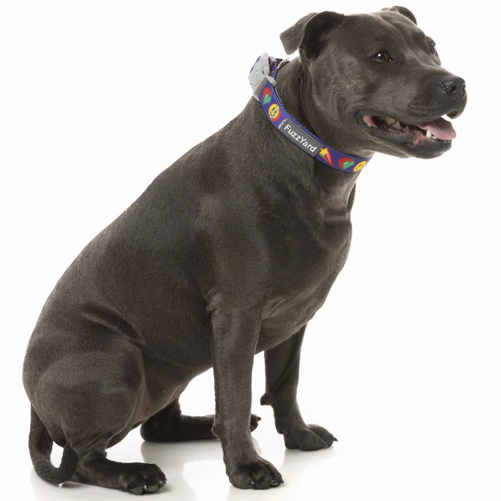 FuzzYard Dog Collar (Highscore)