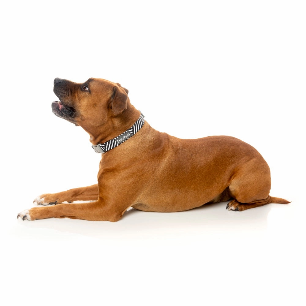 FuzzYard Dog Collar (Northcote)