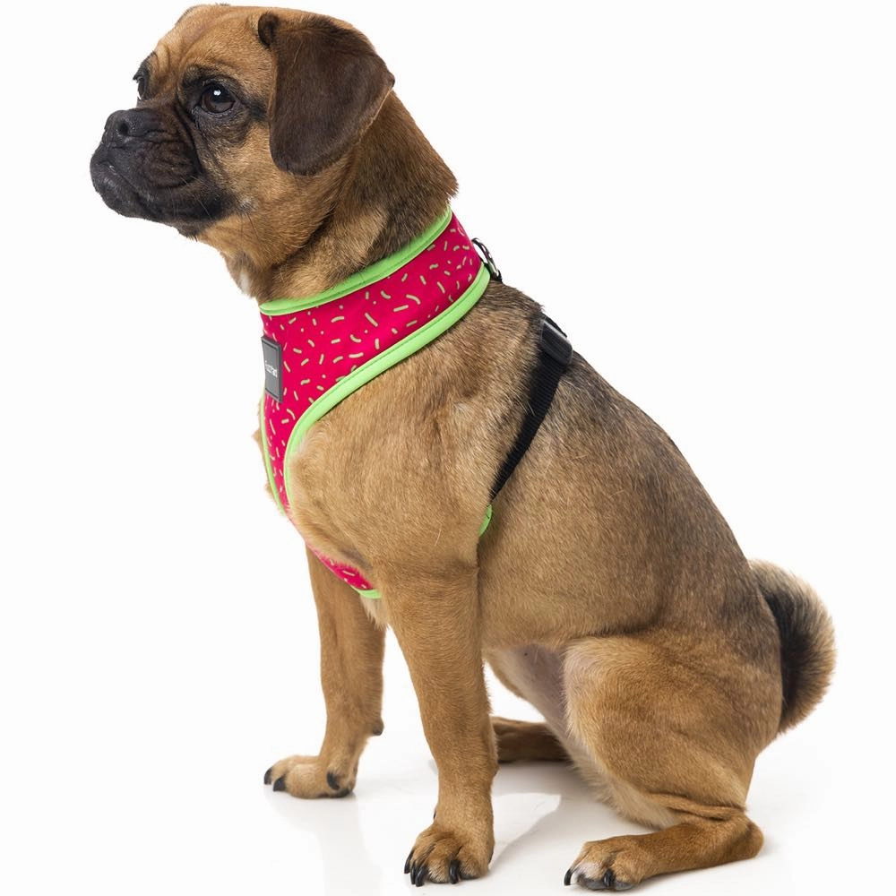 FuzzYard Juicy Dog Harness