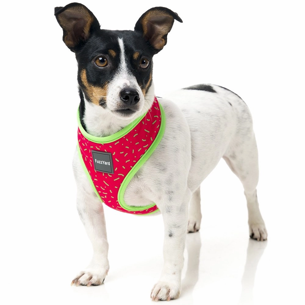 FuzzYard Juicy Dog Harness