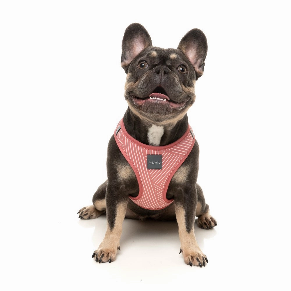 FuzzYard Thornbury Brick Red Step-In Dog Harness