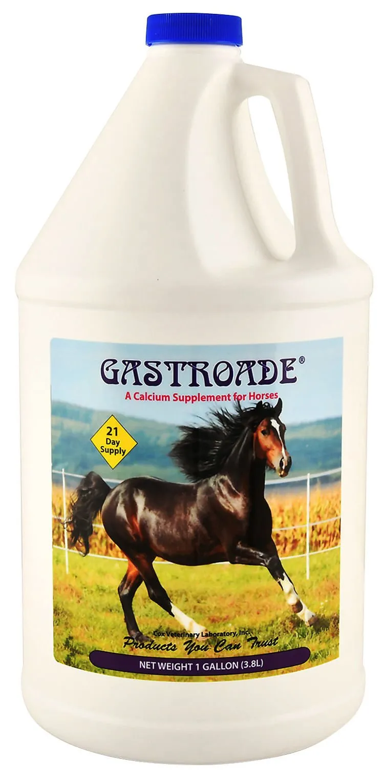 Gastroade Liquid GI Supplement for Horses