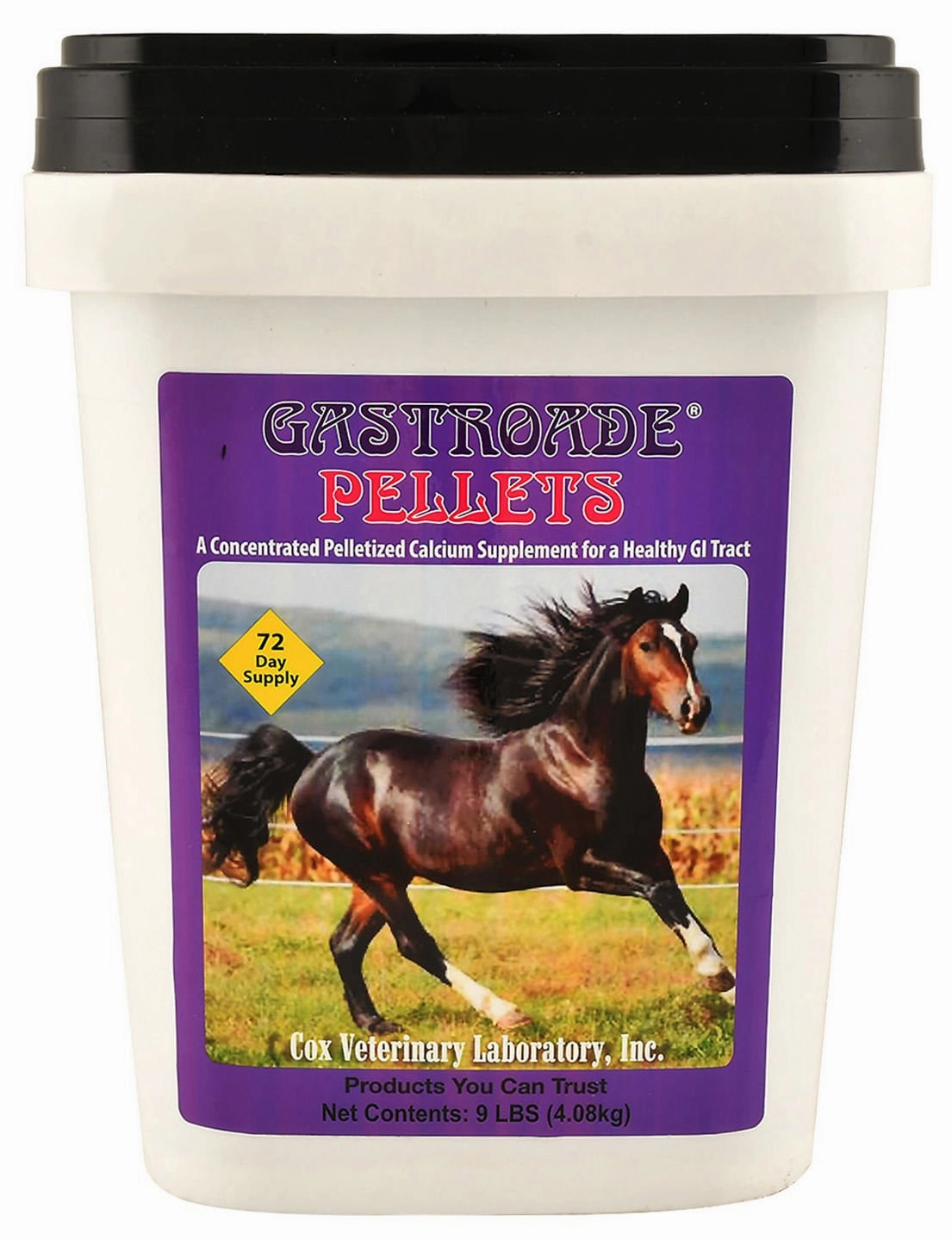 Gastroade Pellets for Healthy GI Tract in Horses
