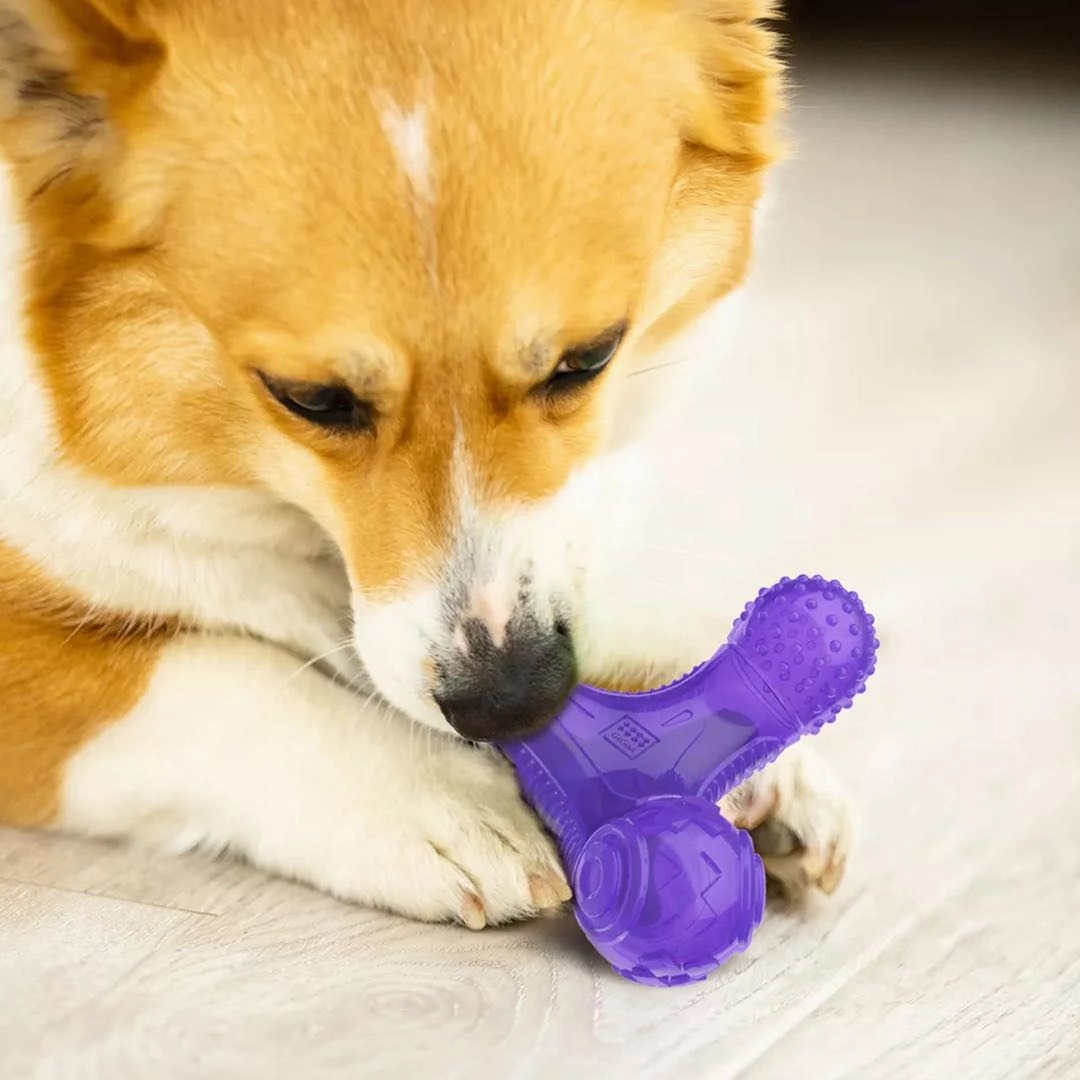 GiGwi Multi-Sounds Bone Dog Toy