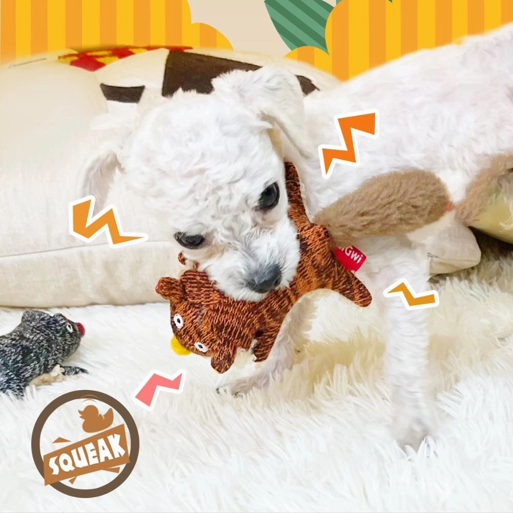 GiGwi Plush Friendz Dog Toy (Racoon)