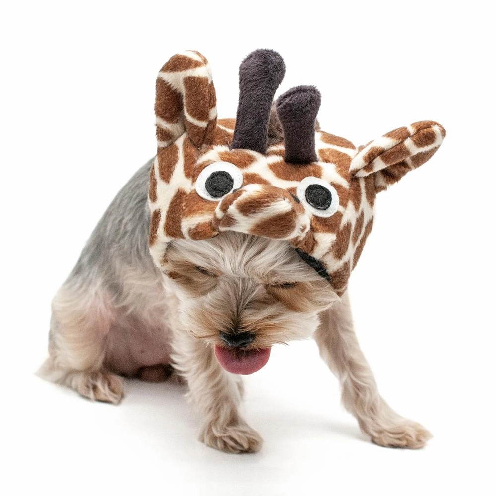 Giraffe Dog Hat