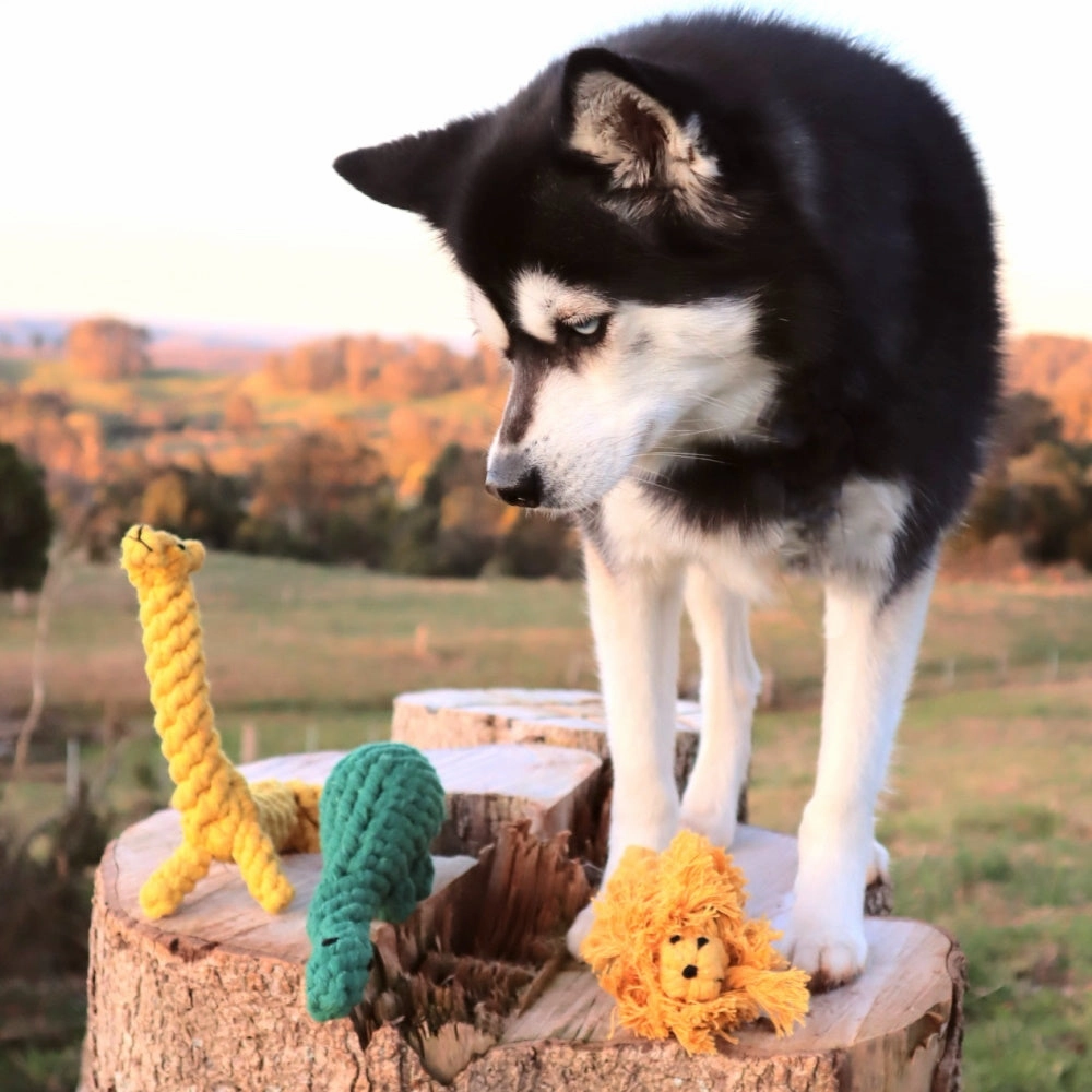 Giraffe Rope Dog Toy