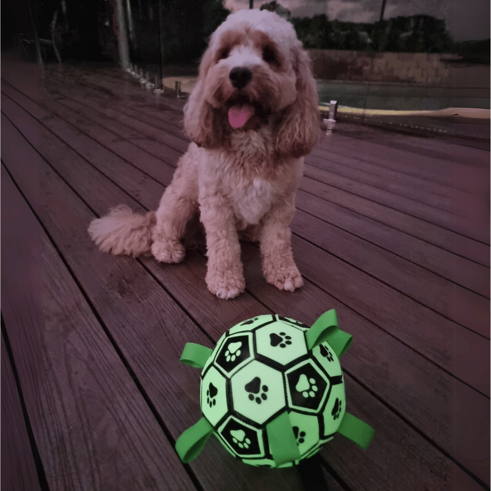 Glow In The Dark Interactive Dog Soccer Ball With Grab Tabs
