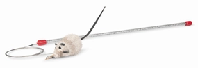 Go Cat Teaser Cat Catcher Wand & Toy cat beds cat scratching post cat shampoo cat tunnel cat brush