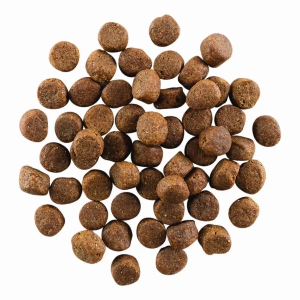Go! Solutions Carnivore Grain Free Chicken, Turkey   Duck Adult Recipe Dry Dog Food 3.5lb (Exp Dec 2024)