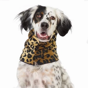 Gold Paw Snood Leopard/Leopard - dog accessories dog collar dog leash dog bowtie dog backpack