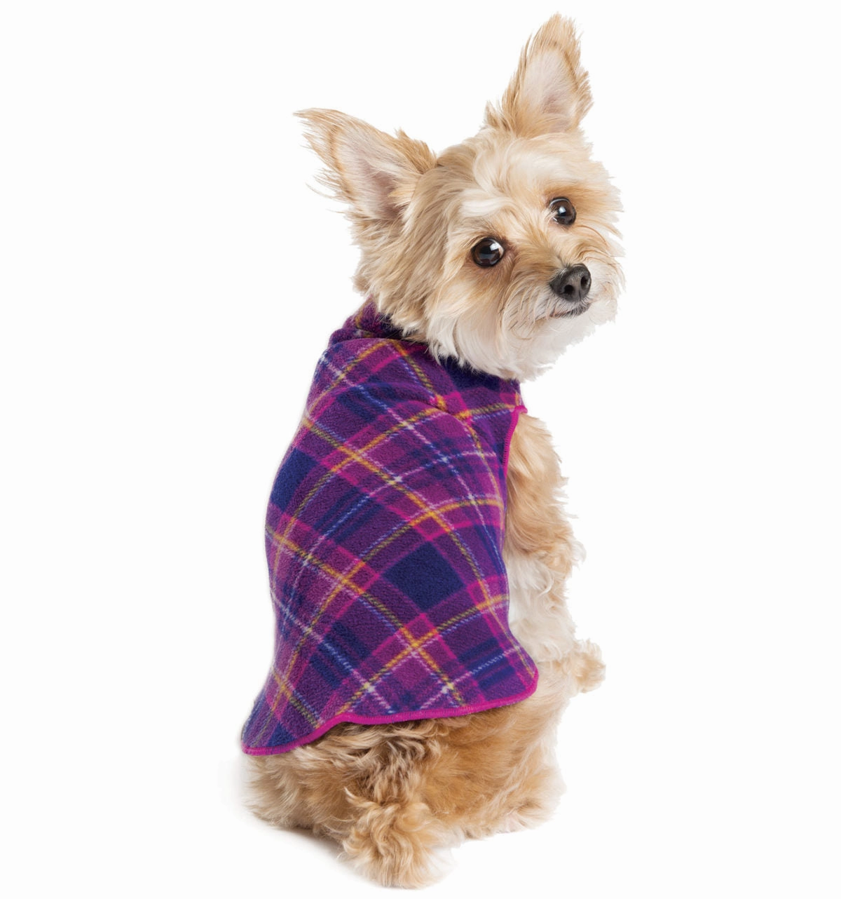 Gold Paw Stretch Fleece - Mulberry Plaid dog accessories dog collar dog leash dog bowtie dog backpack