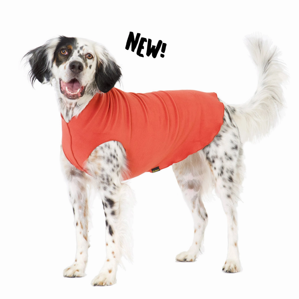 Gold Paw Stretch Fleece - Paprika dog accessories dog collar dog leash dog bowtie dog backpack