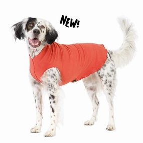 Gold Paw Stretch Fleece - Paprika dog accessories dog collar dog leash dog bowtie dog backpack