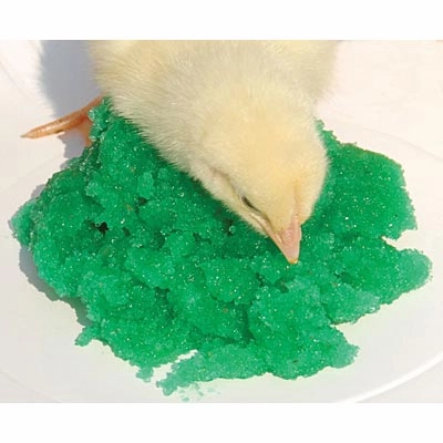 GroGel Plus with DPP Poultry Hatchling Supplement