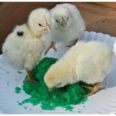 GroGel Plus with DPP Poultry Hatchling Supplement