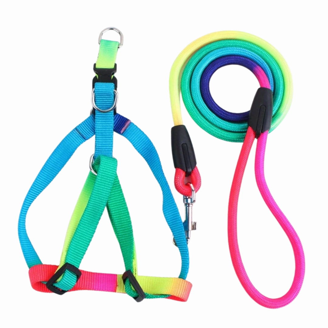 Habibi Pets Reflective Harness and Leash Set - Medium