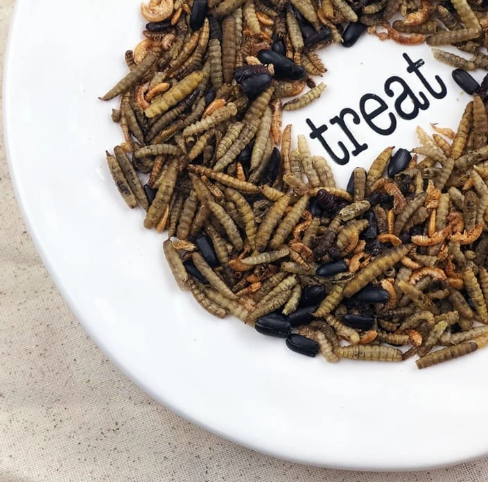 Happy Hen Bug Bonanza, Mealworm & Bug Blend