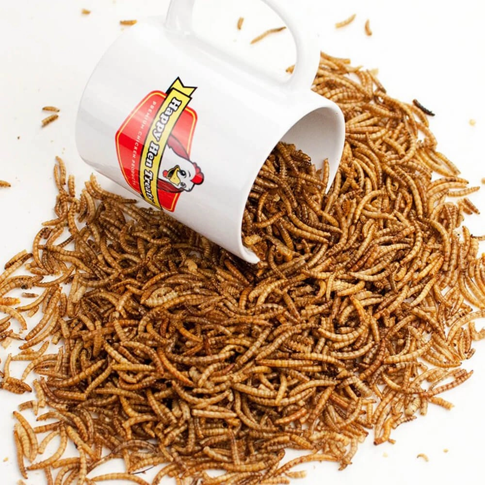 Happy Hen Treats MealWorm Frenzy for Chickens